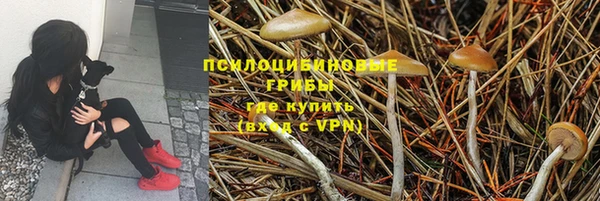 хмурый Вязники